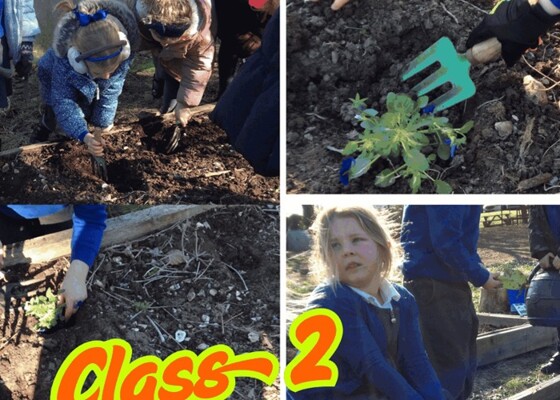 Class 2 Spring Planting
