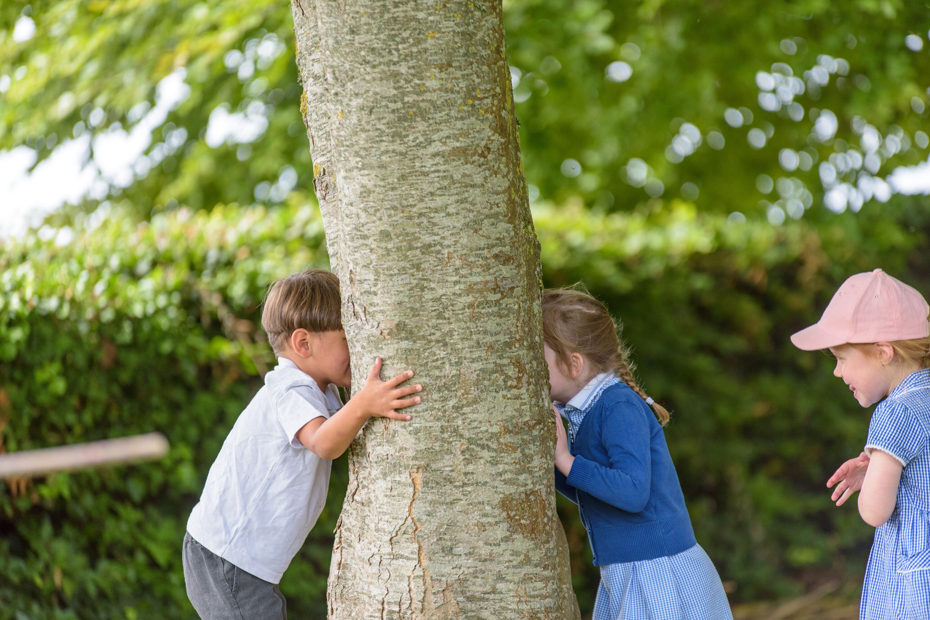 Newsletters Beer Church of England Primary School